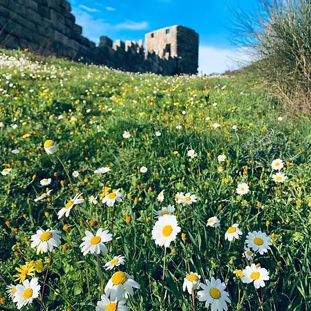 Lykourgos Konukevi 3*