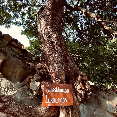 Lykourgos Konukevi 3*