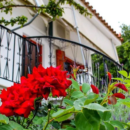 Lykourgos 3* Mavrommátion