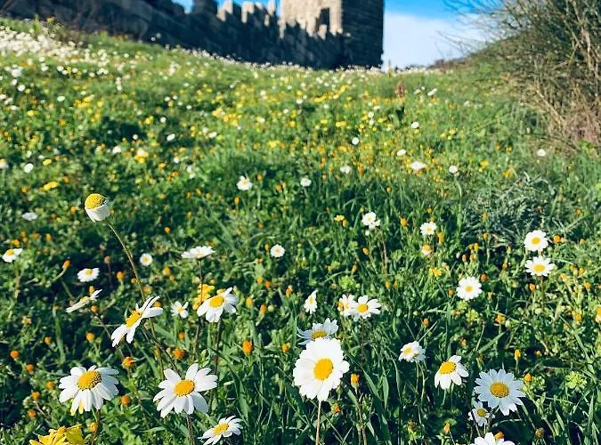 Lykourgos Pensionat 3*