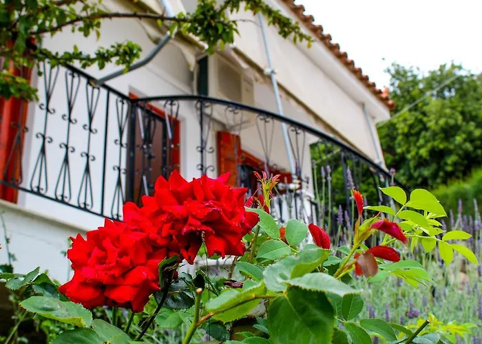 Lykourgos 3* Mavrommátion